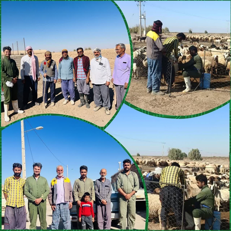 اقدامات شبکه دامپزشکی شهرستان فردوس به مناسبت هفته پدافند غیرعامل